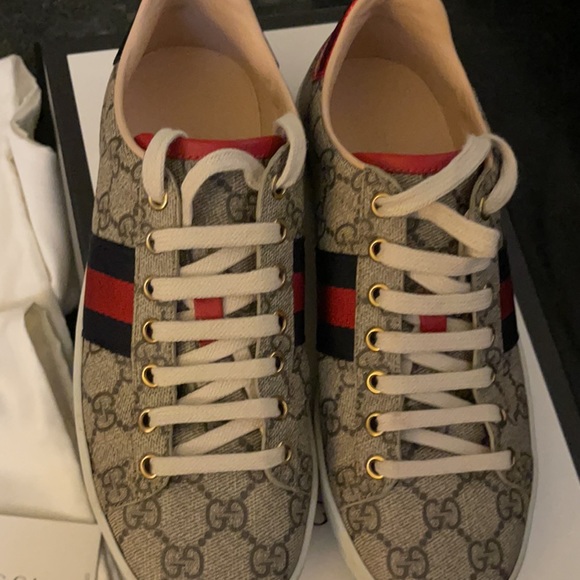 GUCCI SUPREME Aces Low 💯 Authentic - Picture 5 of 13